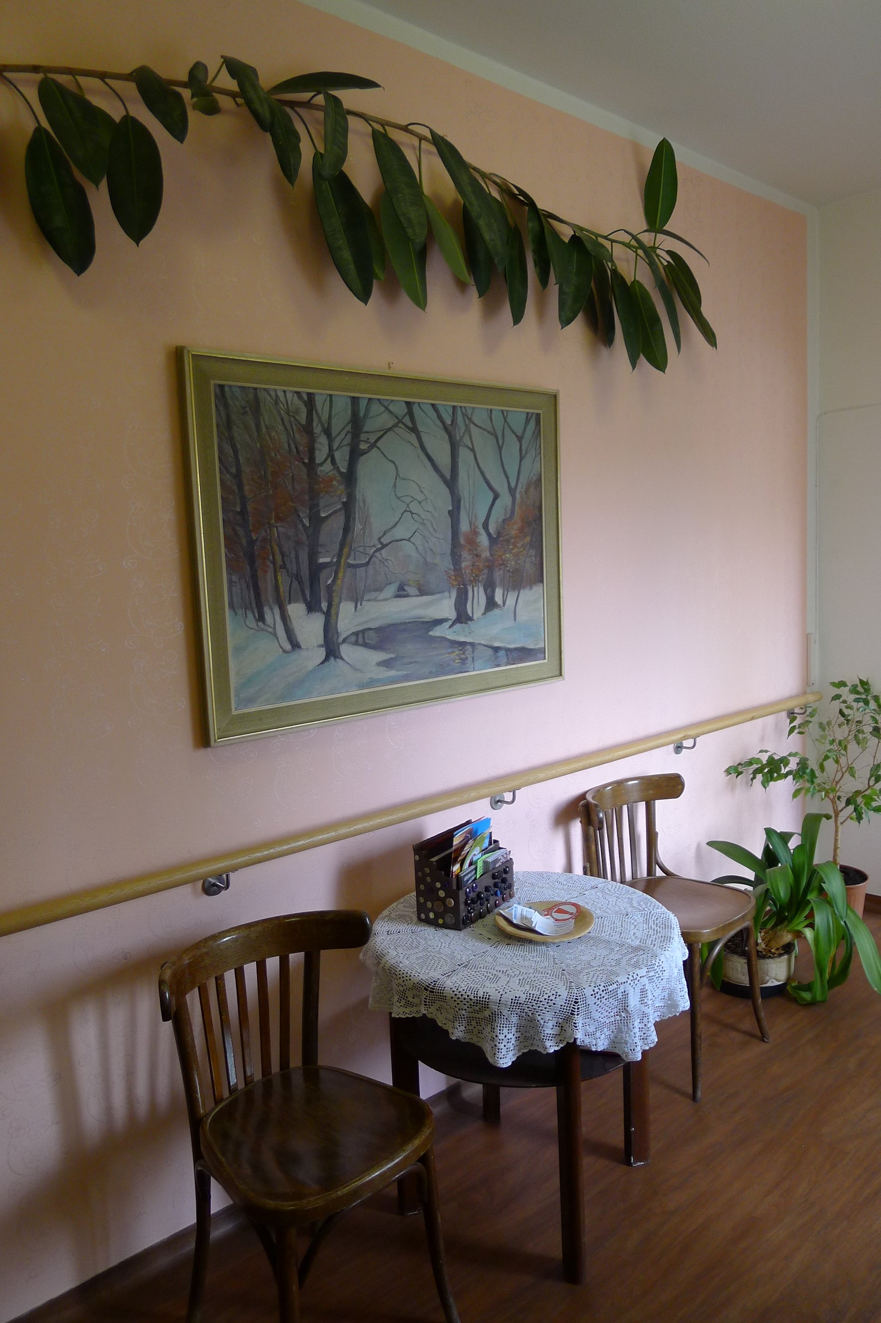 Domov Jabloňová, Domovy se zvláštním režimem, Diakonie ČCE - středisko Vsetín