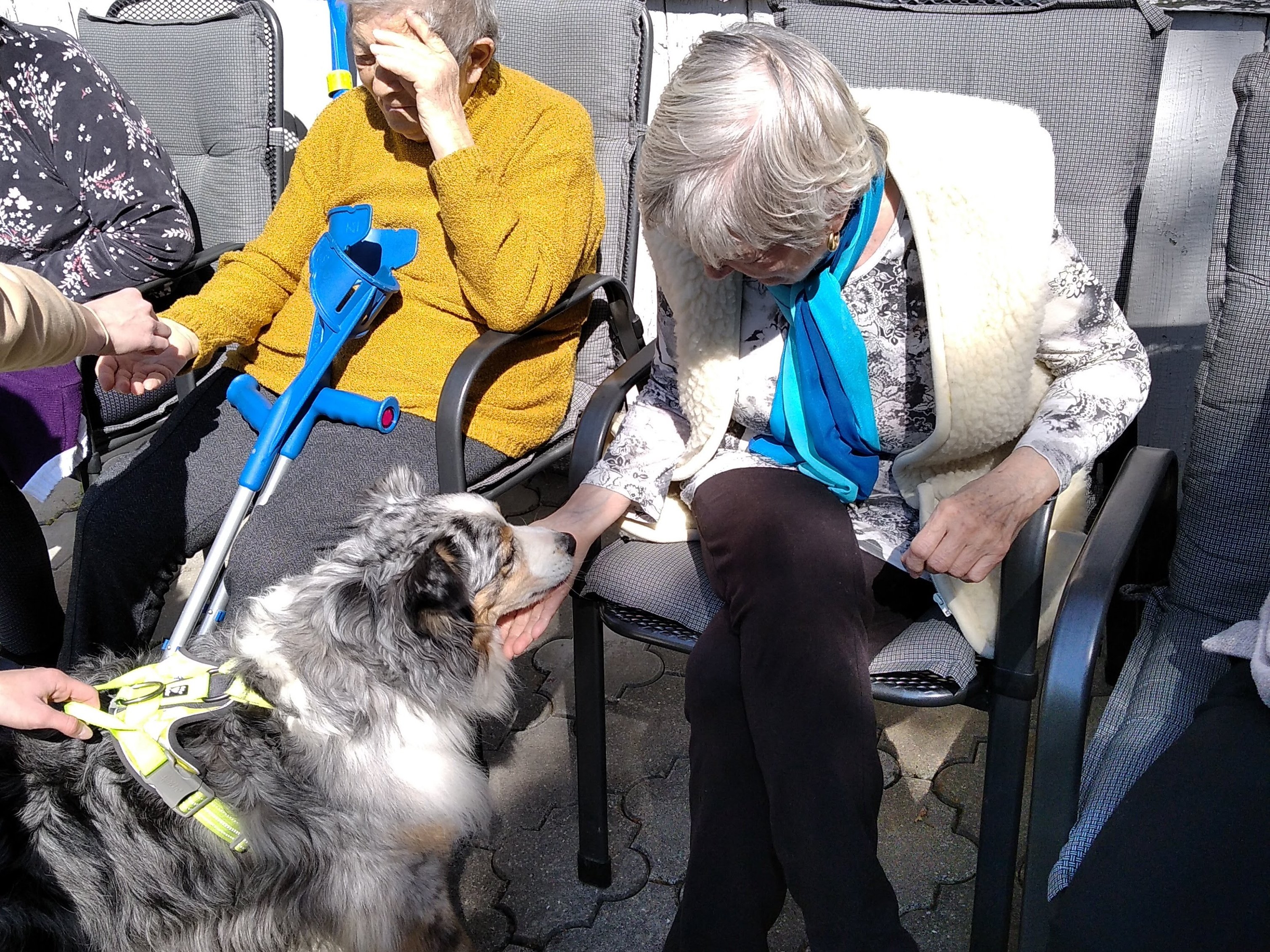 Domovinka-centrum denních služeb pro seniory Charity Zlín, Centra denních služeb, Charita Zlín