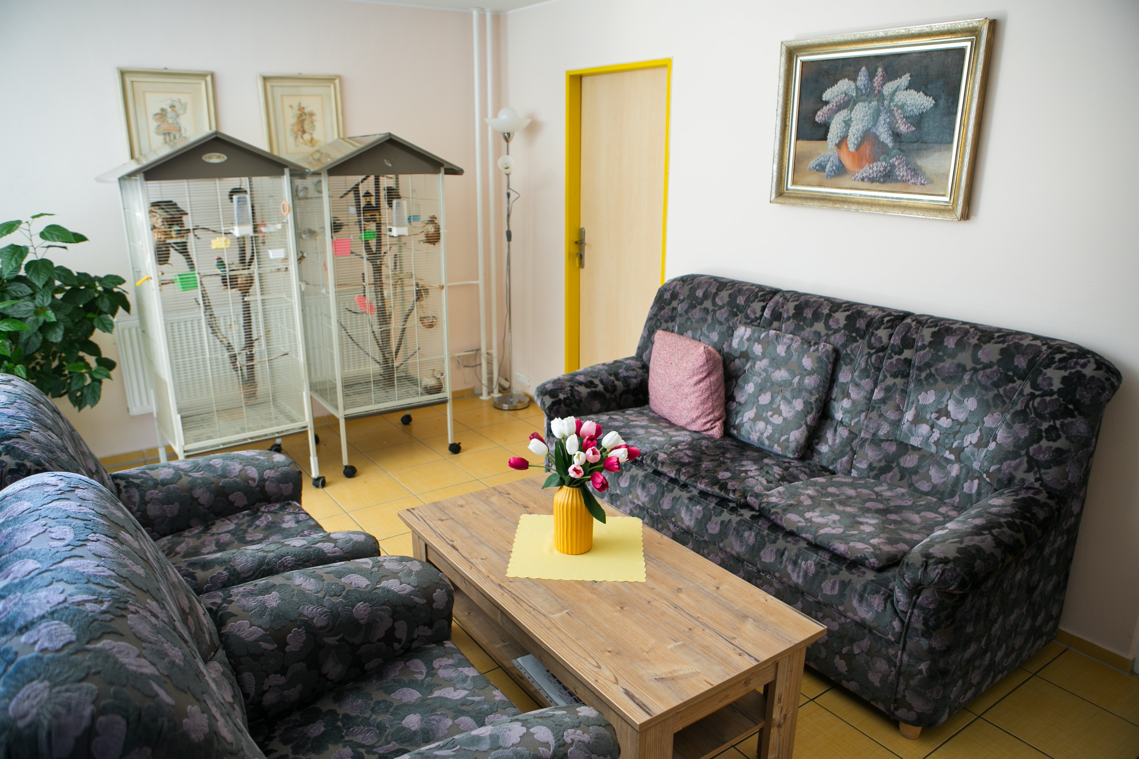 Dům pokojného stáří Naděje Zlín, Domovy se zvláštním režimem, NADĚJE, oblast Zlín